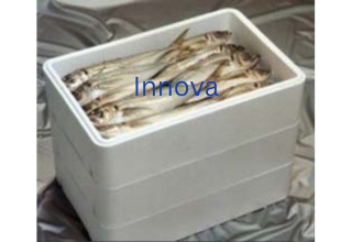Thermocol Fish Box Manufacturer and Supplier India